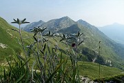 98 Stelle alpine con vista in Cima Foppazzi e Grem